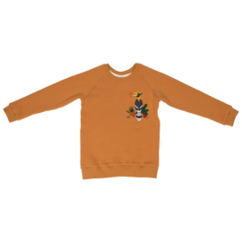 Sweatshirt Mullido, Hornbill mustard sweat 98-104