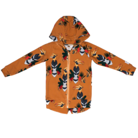 Hoodie Mullido, Hornbill