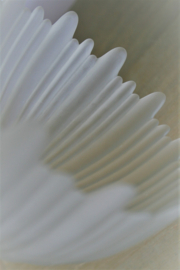 Windlicht - Matglas