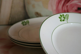 Société Ceramique Maestricht - Dinerbord - Groene Bloem