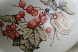 Jet - Ter Steege - Red Currant - Theepot