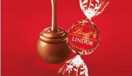 Lindor Ballen Melk