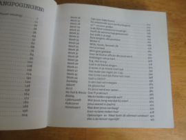 Zingende steen, dagboek voor jongeren - Sonneveld, Reinier