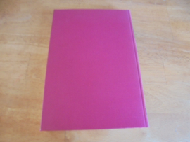 Stiefkinderen van het christendom - Lindeboom, J