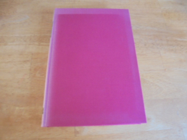 Stiefkinderen van het christendom - Lindeboom, J