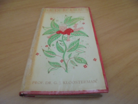 Moedercursus - Een boek voor a.s vaders en moeders