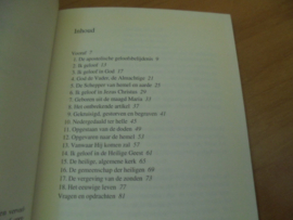 Wil je wel geloven...  - Vreugdenhil, L.M.