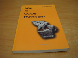 Wie is Gods partner? - Commentaren bij de lezingen van de Matteuscyclus