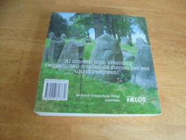 Zingende steen, dagboek voor jongeren - Sonneveld, Reinier