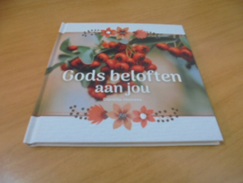 Gods beloften aan jou - Heerens, Daniëlle