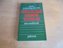 Geestelijke leiding vandaag, een werkboek - Bots, J e.a