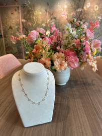 Hartjes collier