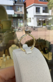 Royal Asscher