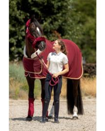 HB Polar 400 Dutch Crown  - Burgundy