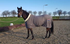 HB Polar 400 Dutch Crown  - Grijs