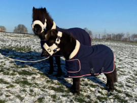 HB Showtime Harry and Hector Dutch Crown little sizes