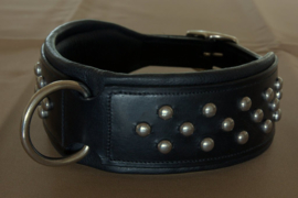 Hondenhalsband Extra Breed met studs