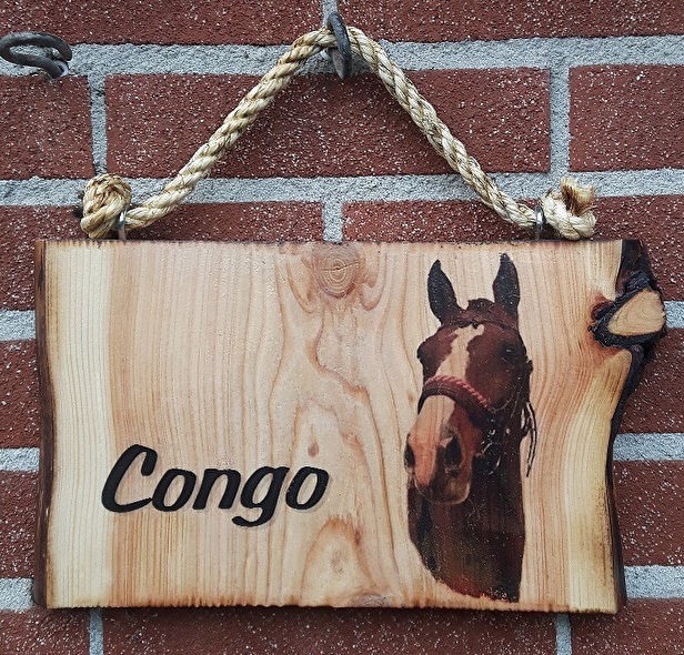 Congo.jpg