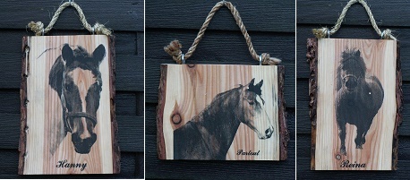 Pony's op tekstbordjes