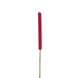 Tuinfakkel Fuchsia