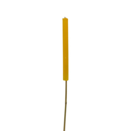 Tuinfakkel Geel