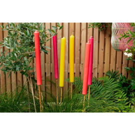 Tuinfakkel Geel