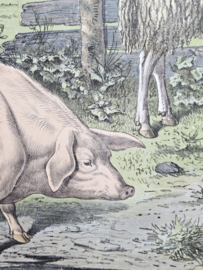 Plaat 'boerderijleven'