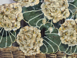 Haardscherm hortensia's VERKOCHT