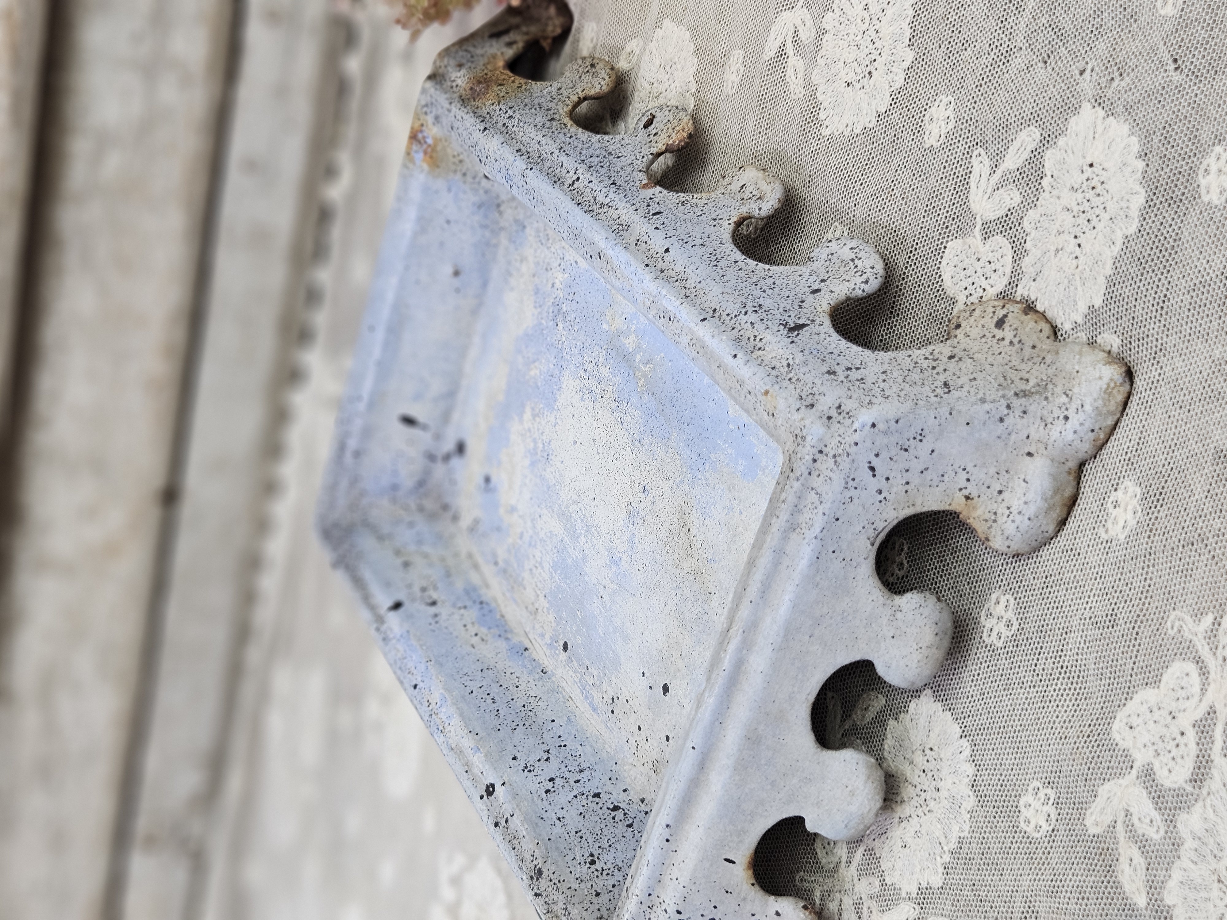 Blauwgrijzige kwispedoor VERKOCHT