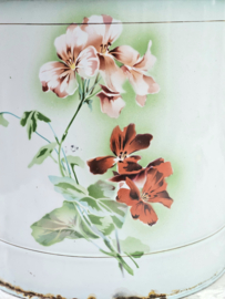 Japy emmer geraniums
