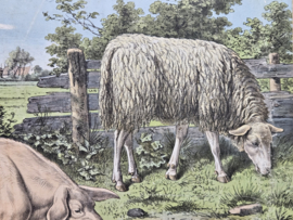 Plaat 'boerderijleven'