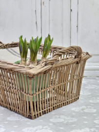 Stoere mand VERKOCHT