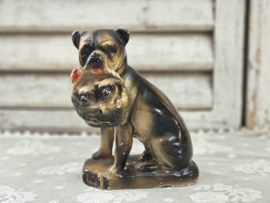 Hond met pups
