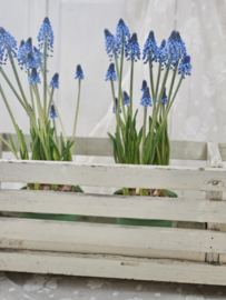 Witte houten bloembak