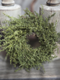 Asparaguskransje 20 cm