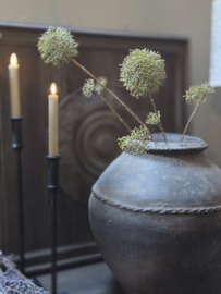 Kunst tak Allium