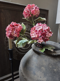 Viburnum kunst tak