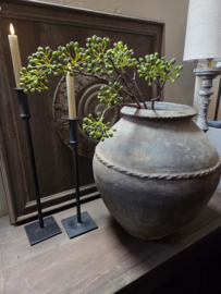 Rozenbottel groen kunst tak