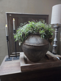Toef op touw met div groensoorten