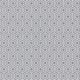 Grey Form Hexagon