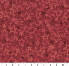 Star of Wonder - Star Light Red - Nancy Halvorsen
