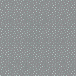 Mint on Grey Polka Dot