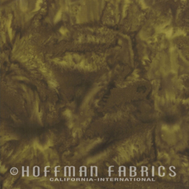 Hoffman  1895-058 Earth