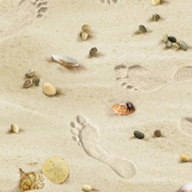 Footsteps on the beach