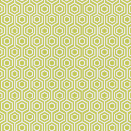 Lime Form Hexagon