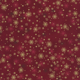 Frosty Snowflakes - Snowy Stars