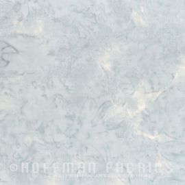 Hoffman 1895 - 176 - Ice