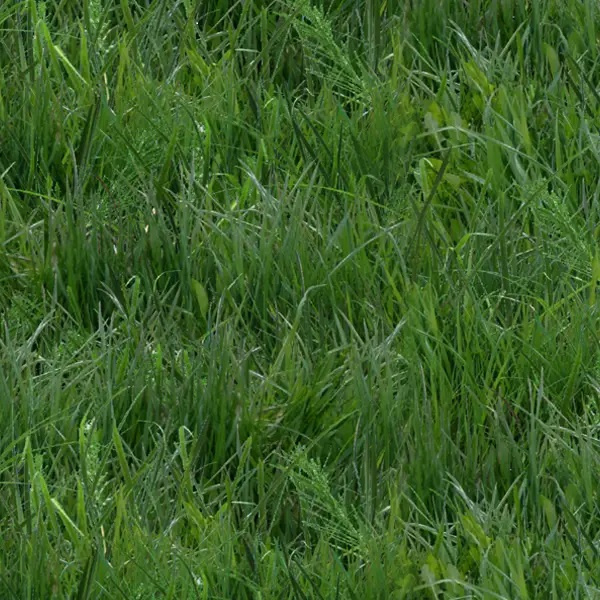 Landscape Medley - Green Green Grass