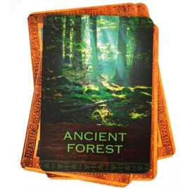 Native Spirit oracle Cards - (Engels)
