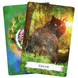 Wicca rituelen & bezweringen orakel
